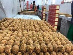 Naivedyam laddu Patna || World Famous Hanuman Mandir Ghee Sweets || Purity, Taste and Natural Aroma - Feel The Taste - Patna Hanuman Mandir Bihar