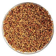 Raw Alfalfa Medicago sativa Seeds, 250 Grams Pack