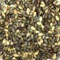 Indrayan Beej - Tumba Seeds - Citrullus colocynthis, 100 Grams