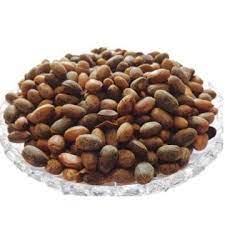 Jamalghota Beej - Jamalghota Seeds - Croton Seeds - Croton Tiglium, 100 Grams