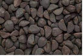 Kala Dana Chota - Black Seeds - Kala Beej - Morning Glory Seeds - Ipomoea nil, 100 Grams