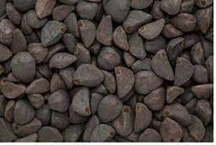Kala Dana Chota - Black Seeds - Kala Beej - Morning Glory Seeds - Ipomoea nil, 100 Grams