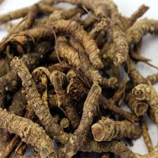 Kutki Root - Katuki Jadd - Kutaki Roots - Picrorhiza Kurroa, 100 Grams