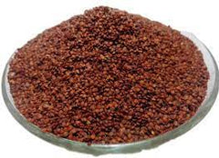 Lajwanti Seeds - Lajvanti Beej - Chui Mui - Mimosa pudica, 100 Grams