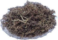 NakChikni Sneeze Wort Dregea Volubilis, 100 Grams Pack
