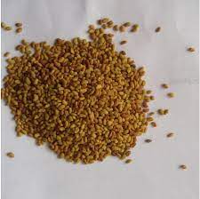 Raw Alfalfa Medicago sativa Seeds, 250 Grams Pack