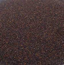 Samunder Sokh - Kamarkas Seeds - Samudra Sosh - Samundar Sokh - Convolvulaceae, 100 Grams